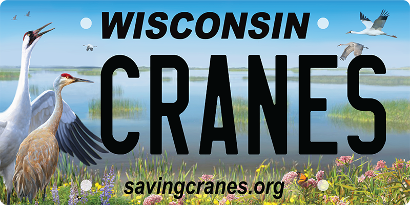 Cranes of Wisconsin license plate design with Whooping and Sandhill Cranes on a marsh.