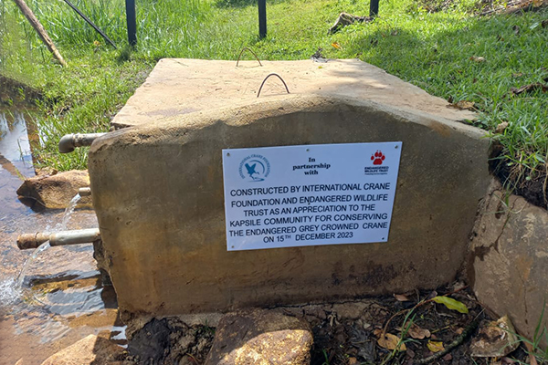 The spring plaque reads: "Constructed by International Crane Foundation and Endangered Wildlife Trust as an appreciation to the Kapsile Community for conserving the Endangered Grey Crowned Crane." Eva Takoi/International Crane Foundation