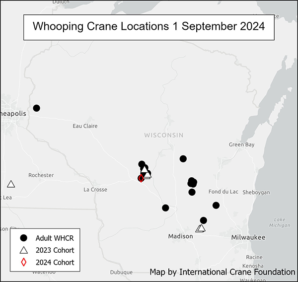 Click here to view our interactive Where are the Whoopers map for more details, including bios on each crane.