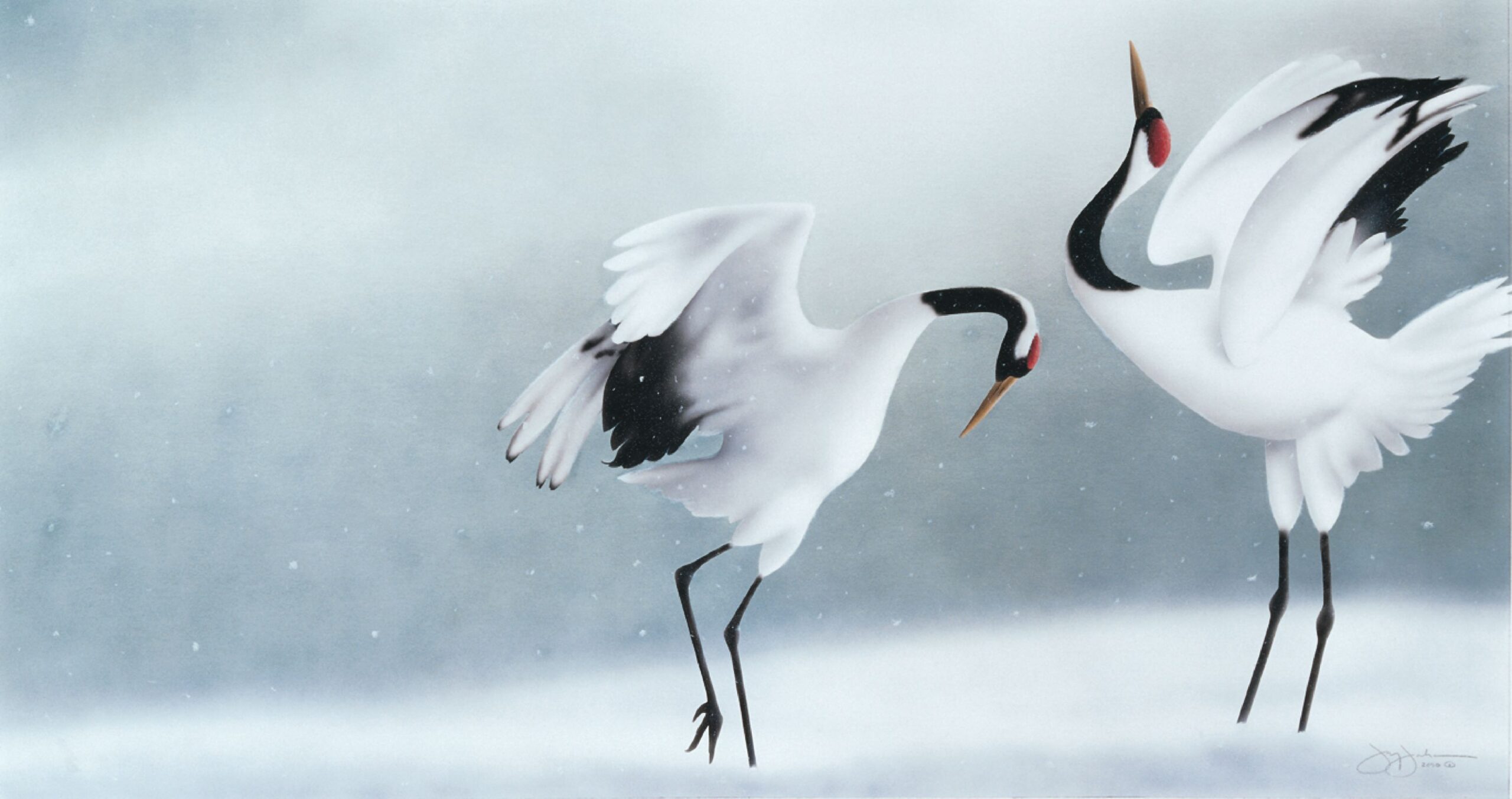 Red-Crowned Crane