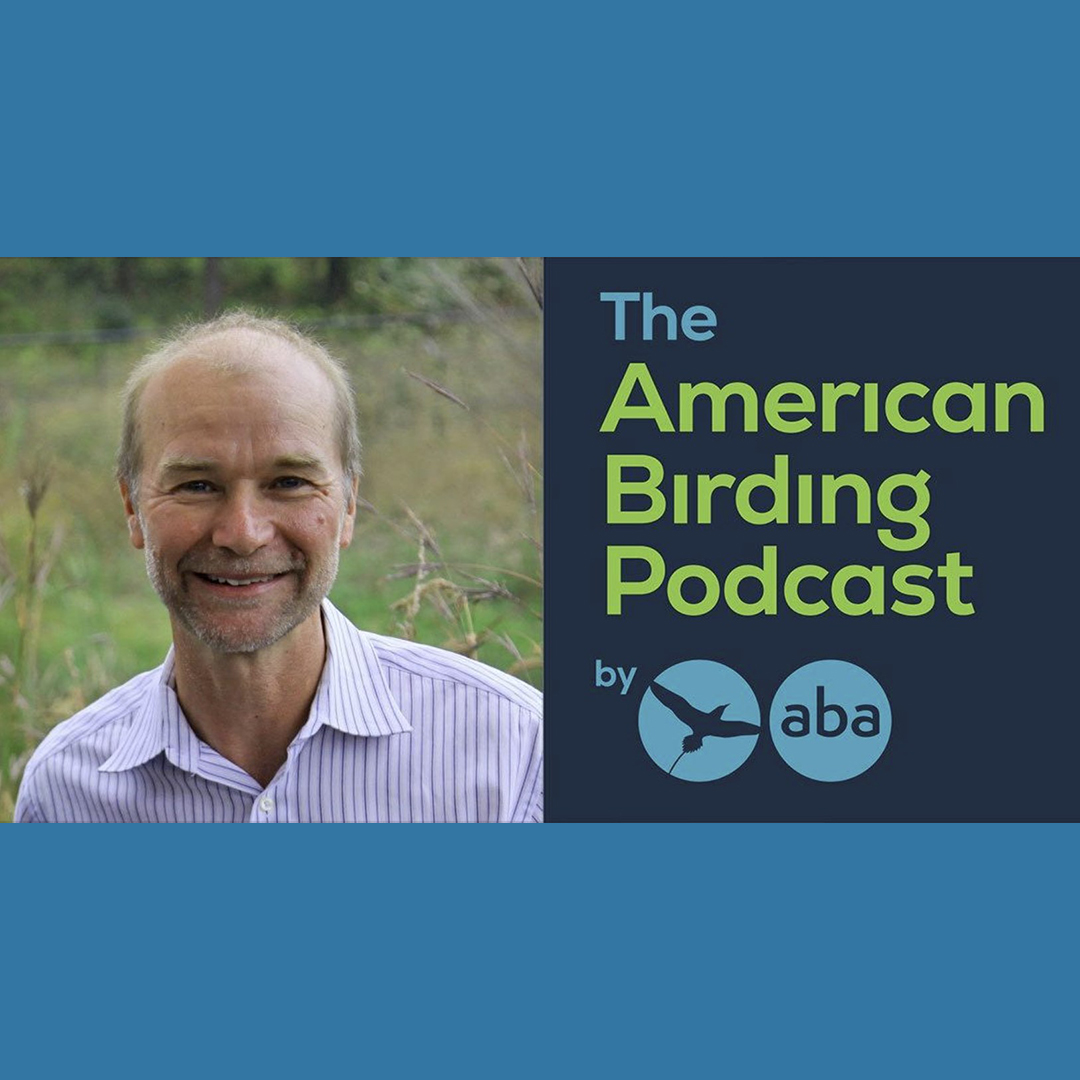 Inside Crane Conservation with Rich Beilfuss, American Birding Podcast