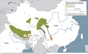 black necked cranes map