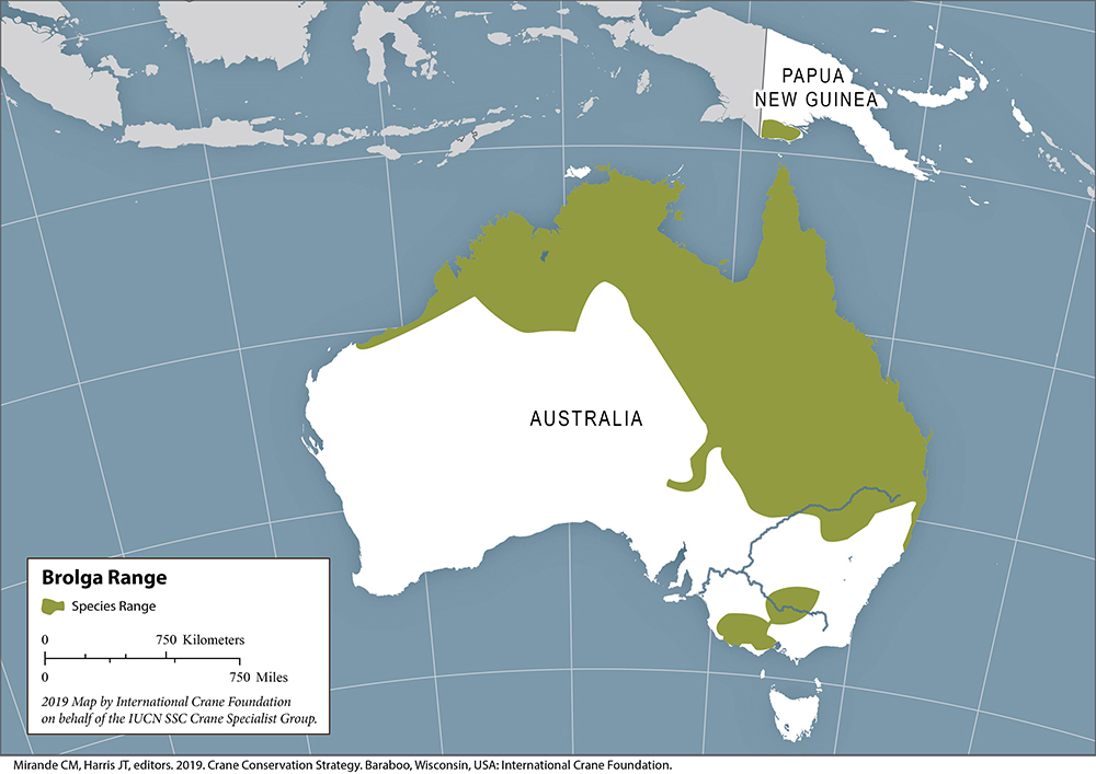 Brolga Map