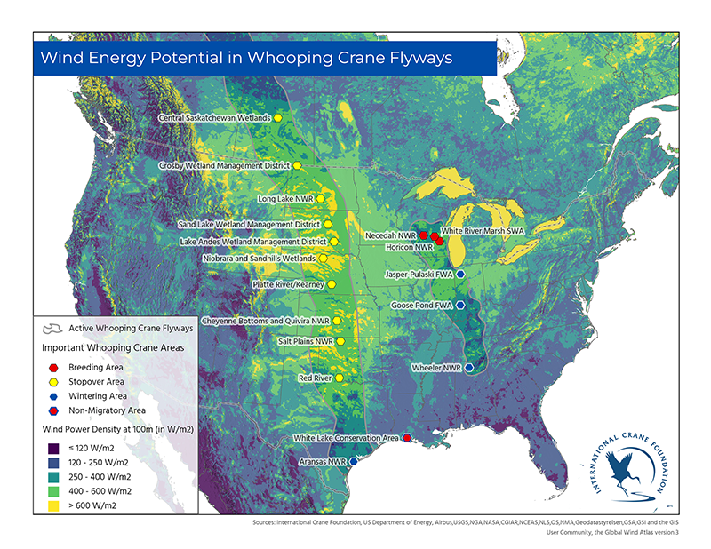 Wind energy potential in Whooping Crane flyways.