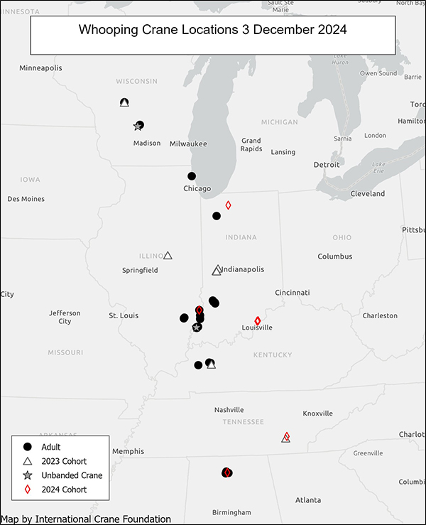 Map showing locations of Whooping Crane Eastern Migratory Population in early December 2024.